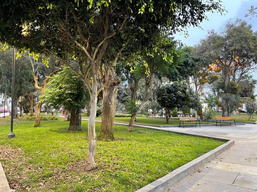 Parque Daniel Hernandez